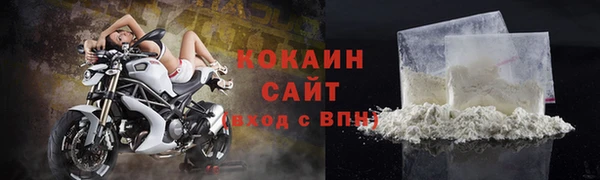 СК Кодинск
