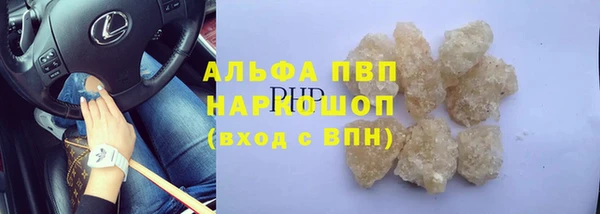 СК Кодинск