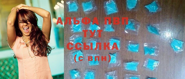 хмурый Шали